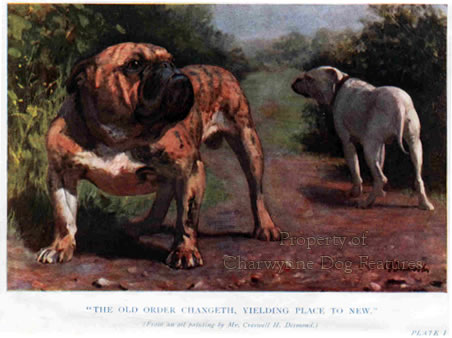 865-6a-desmonds-painting-of-bulldog-late-19th-century